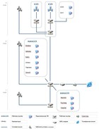 Network